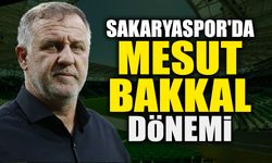 Sakaryaspor'da Mesut Bakkal Dönemi