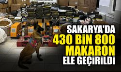 Sakarya'da 430 bin 800 Makaron Ele Geçirildi