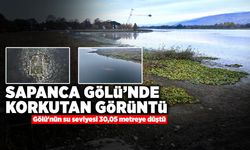 Sapanca Gölü'nün Su Seviyesi 30,05 Metreye Düştü