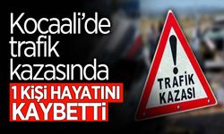 Kocaali'de Trafik Kazasında 1 Kişi...