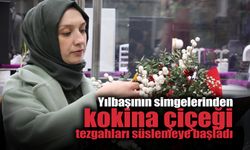 Kokina Çiçeği Tezgahları Süslemeye Başladı