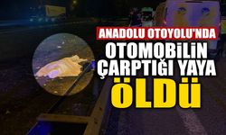 Anadolu Otoyolu'nda Feci Kaza: Otomobilin Çarptığı Yaya...