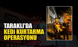 Taraklı'da Kedi Kurtarma Operasyonu