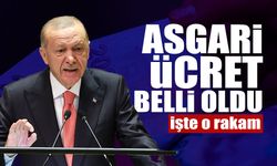 Asgari Ücret Belli Oldu! İşte O Rakam