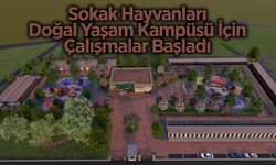 Büyükşehir’den Can Dostlar İçin Doğal Yaşam Alanı