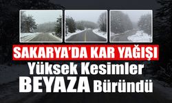 Sakarya'da Kar Yağışı! Yüksek Kesimler Beyaza Büründü