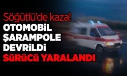 Söğütlü’de Kaza! Sürücü Yaralandı