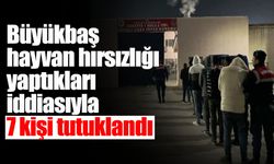 Büyükbaş Hayvan Hırsızlığı: 7 Tutuklu