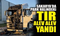 Park Halindeki Tır Alev Alev Yandı