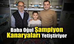 Şampiyon Kanaryaları Yetiştiriyor