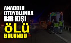 Anadolu Otoyolunda Cansız Bedeni Bulundu