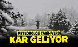 Meteoroloji Tarih Verdi! Sakarya'ya Kar Geliyor