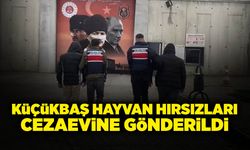 Küçükbaş Hayvan Hırsızları Yakalandı!