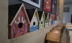 Özel Çocuklar, Kuş Evleri ve Kedi Yuvaları Ürettiler