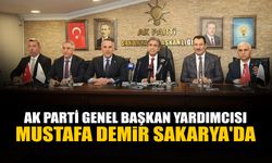 AK Parti Genel Başkan Yardımcısı Demir Sakarya'da