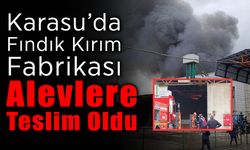 Fındık Kırım Fabrikasında Yangın!