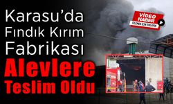 Fındık Kırım Fabrikasında Yangın!