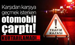 Otomobilin Çarptığı Yaya Hayatını Kaybetti