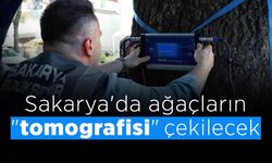 Ağaçların "Tomografisi" Çekilecek