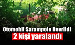 Otomobil Şarampole Devrildi