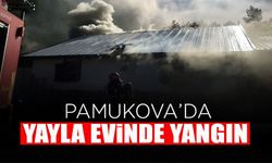 Pamukova'da Yayla Evinde Yangın Çıktı