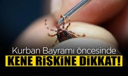 Bayram Öncesi Keneye Dikkat