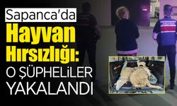 Sapanca'da Hayvan Hırsızlığı