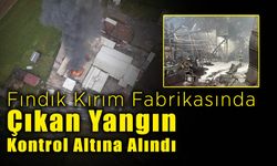 Fındık Kırım Fabrikasında Çıkan Yangın Kontrol Altına Alındı