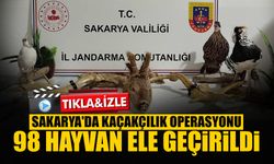 Sakarya'da Kaçakçılık Operasyonu: 98 Hayvan Ele Geçirildi