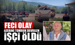 Üzerine Tonlarca Tomruk Devrilen İşçi Öldü