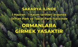 Sakarya'da Ormanlara Girmek Yasaklandı
