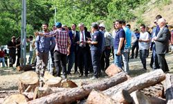 Başkan Alemdar, Taraklı'da! Yangını Yakından Takip Ediyor