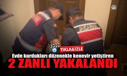 Evde Kenevir Yetiştiren 2 Zanlı Yakalandı