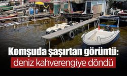 Komşuda Şaşırtan Görüntü