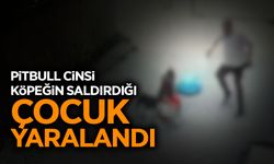 Pitbull Cinsi Köpeğin Saldırdığı Çocuk Yaralandı