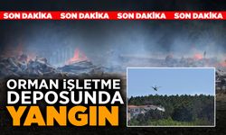 SON DAKİKA! Orman İşletme Deposunda Yangın