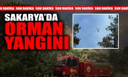 SON DAKİKA! Sakarya'da Büyük Orman Yangını!