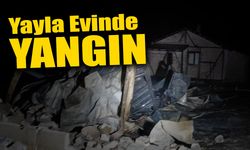 Sakarya'da Yayla Evinde Yangın!