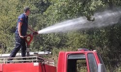 Büyükşehir’den Orman Yangınlarıyla İlgili Açıklama