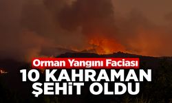 Orman Yangını Faciası: 10 Kahraman Şehit Oldu!