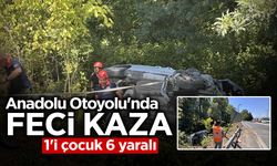 Anadolu Otoyolu'nda Feci Kaza: 1'i Çocuk 6 Yaralı