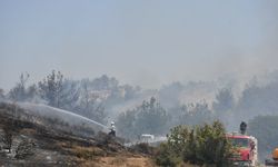 Sakarya'dan Bilecik'e Sıçrayan Yangın 4. Gününde