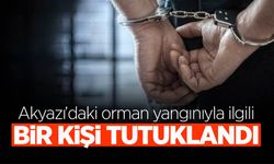 Akyazı’daki Orman Yangınıyla İlgili Bir Kişi Tutuklandı