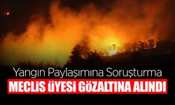 Meclis Üyesi Gözaltına Alındı
