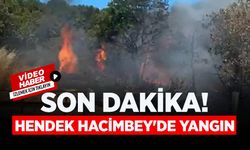 SON DAKİKA! Hendek Hacimbey'de Yangın