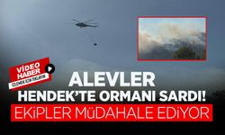 Hendek’te Orman Yangını