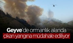 Geyve'de Çıkan Yangına Müdahale Sürüyor
