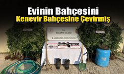 Evinin Bahçesini Kenevir Bahçesine Çevirmiş