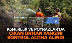 Kömürlük ve Poyrazlar'daki Orman Yangını Kontrol Altında