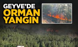 Geyve’de Orman Yangın
